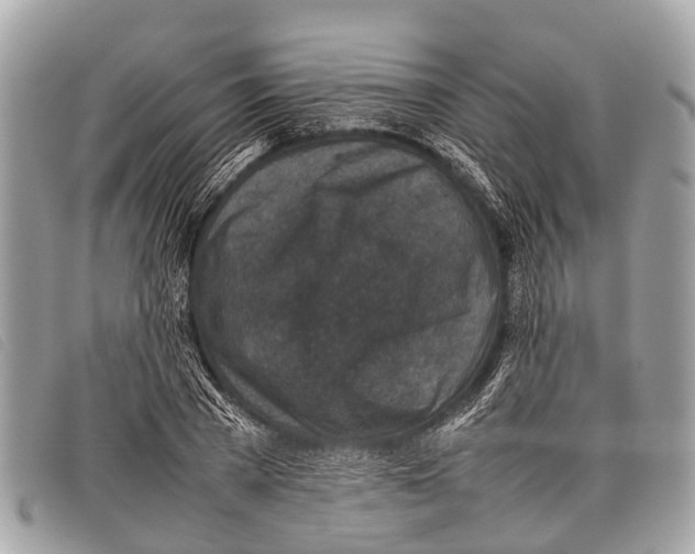 X0000097860785200804111152