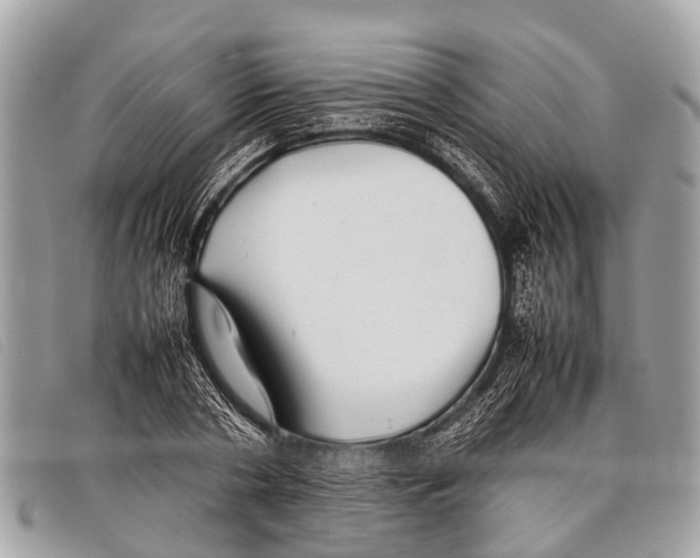 X0000097860786200804111152