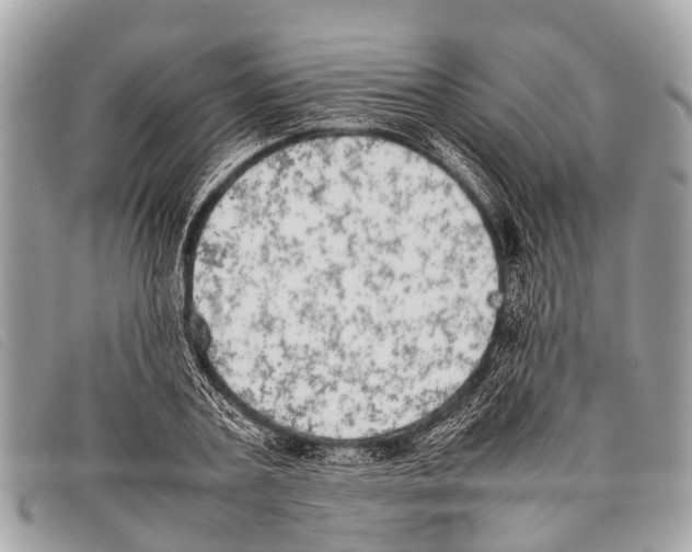 X0000097860787200804111152