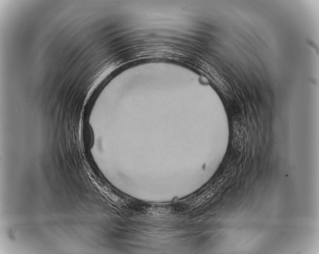 X0000097860788200804111152