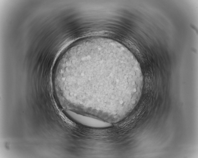 X0000097860792200804111152