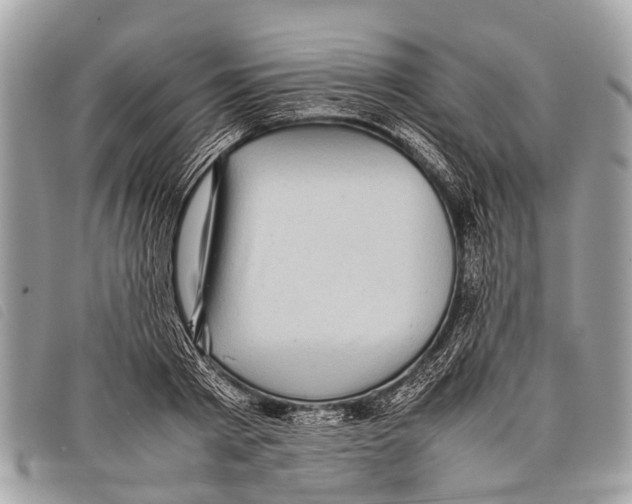 X0000097860793200804111152