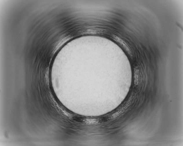 X0000097860794200804111152