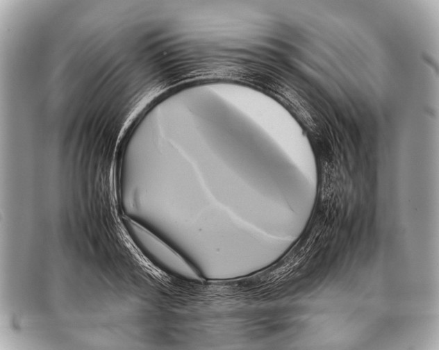 X0000097860796200804111152