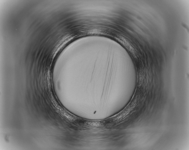 X0000097860798200804111152