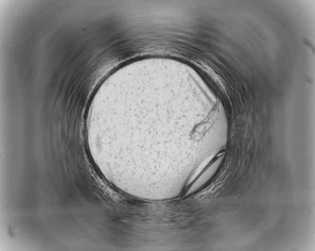 X0000097860799200804111152