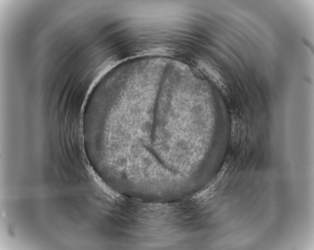 X0000097860800200804111152