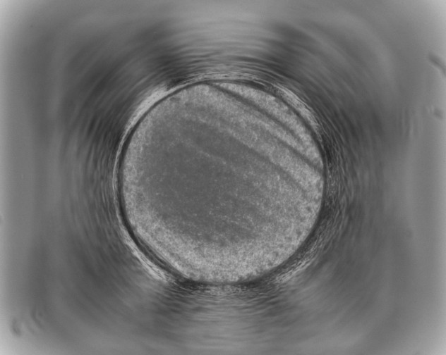 X0000097860803200804111152