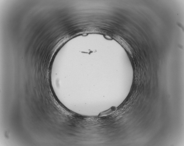 X0000097860805200804111152