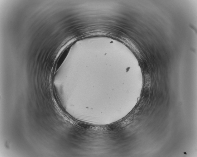 X0000097860806200804111152