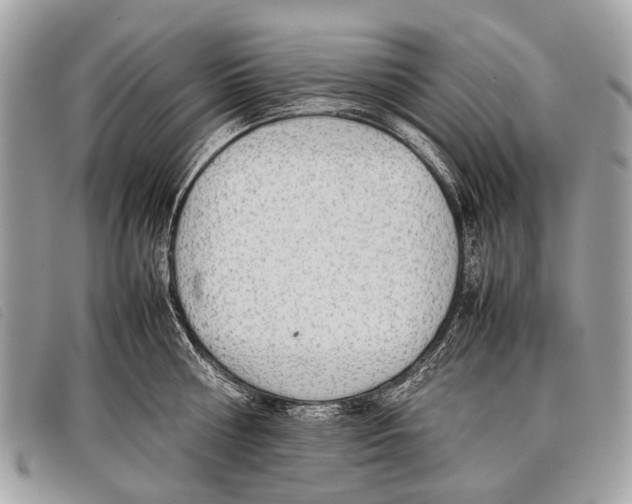 X0000097860810200804111152