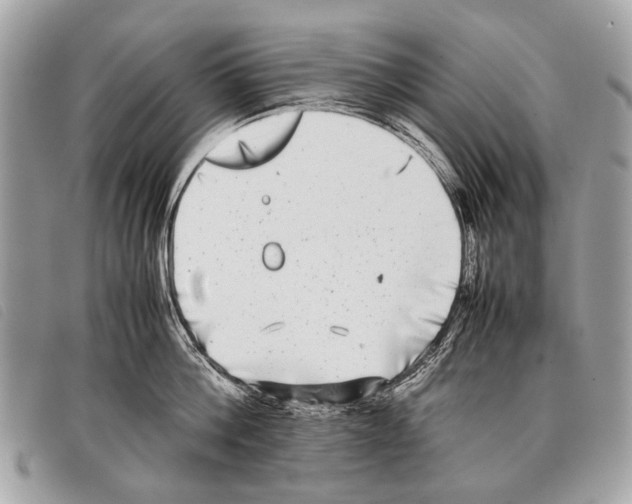 X0000097860812200804111152