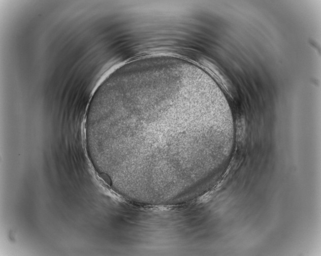 X0000097860814200804111152