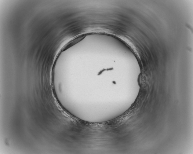 X0000097860815200804111152