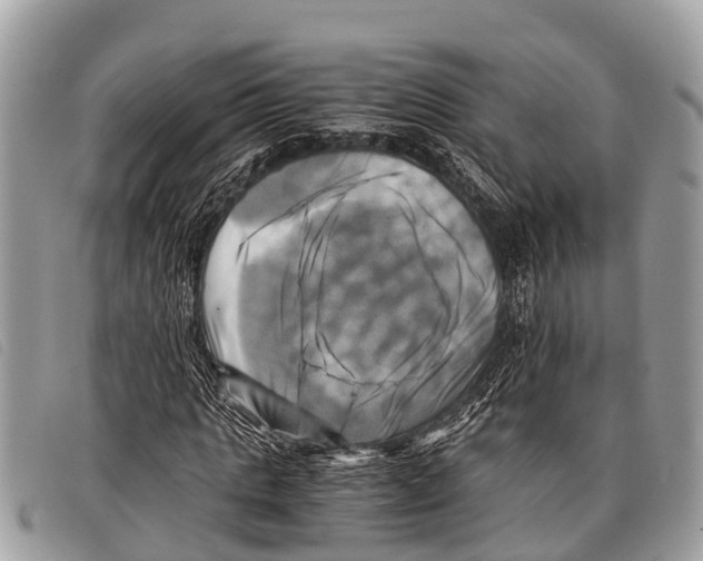 X0000097860821200804111151