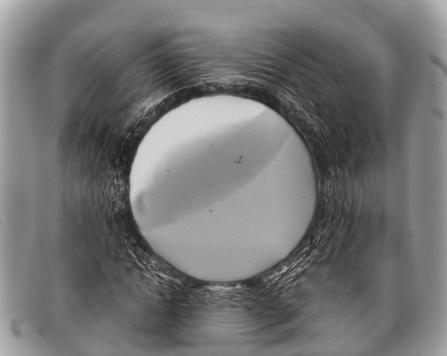 X0000097860822200804111151