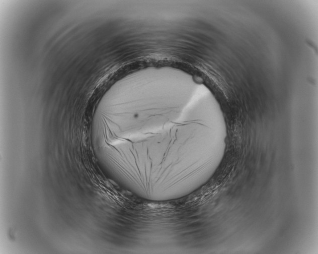 X0000097860823200804111151