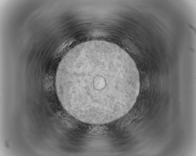 X0000097860824200804111151