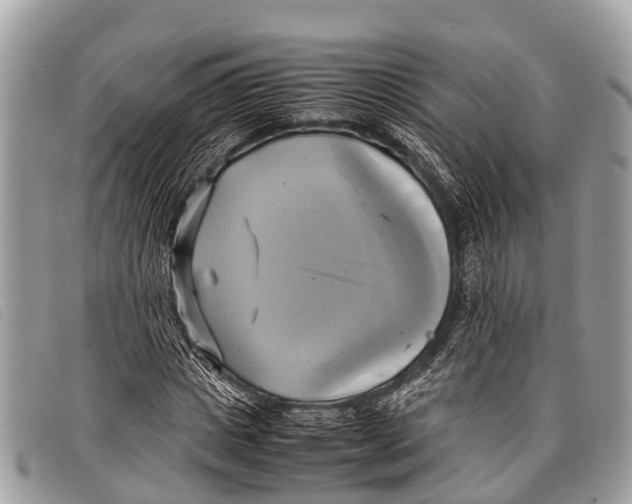 X0000097860825200804111151