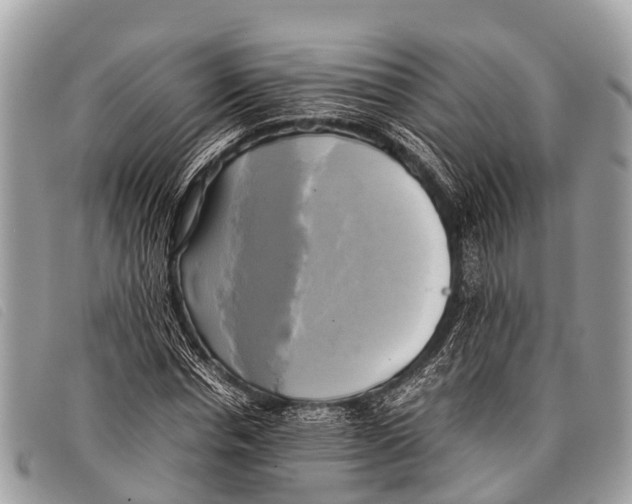 X0000097860826200804111151