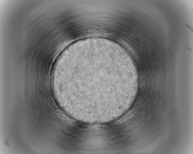 X0000097860828200804111151