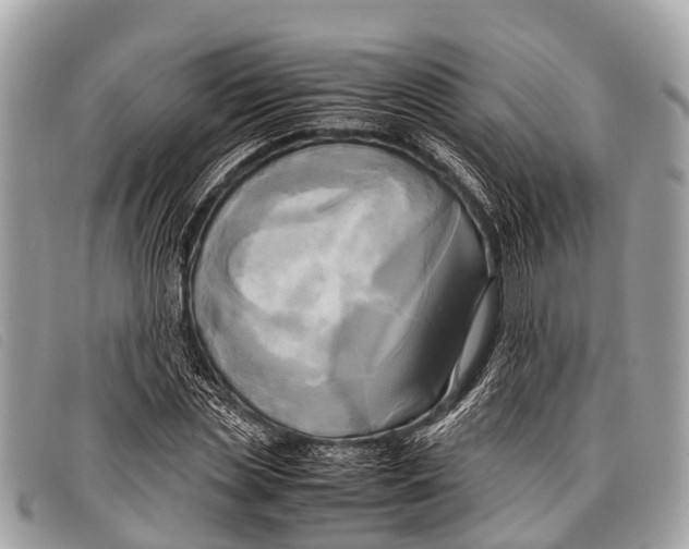 X0000097860829200804111151