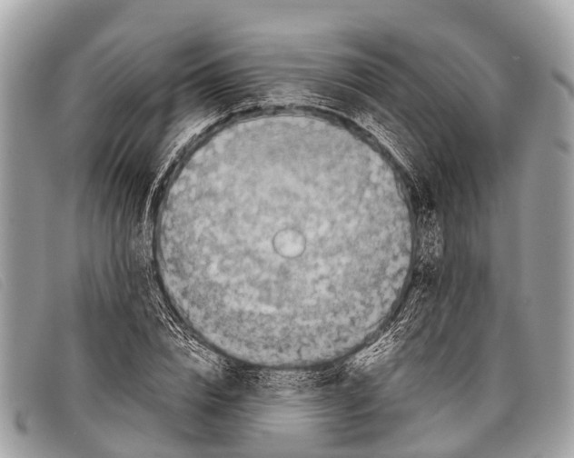 X0000097860832200804111151