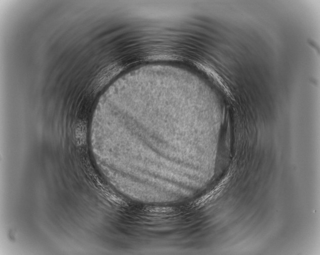 X0000097860833200804111151