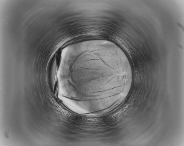 X0000097860835200804111151