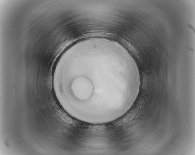 X0000097860836200804111151