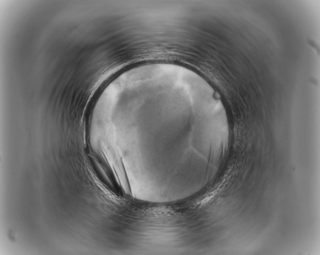 X0000097860838200804111151