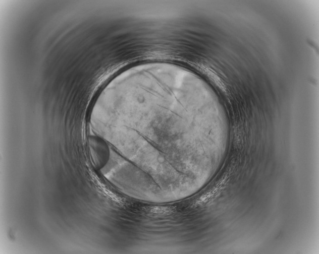 X0000097860839200804111151