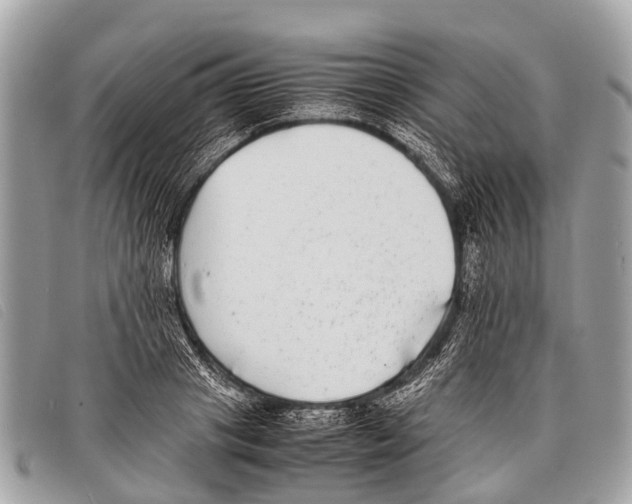 X0000097860841200804111151