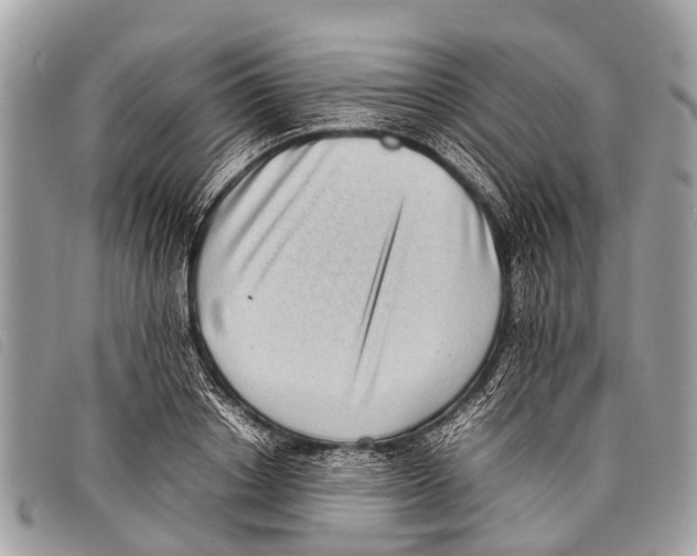 X0000097860842200804111151