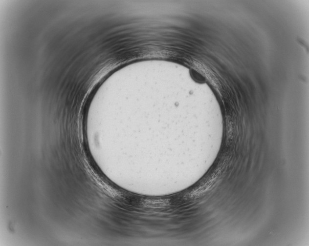 X0000097860843200804111151