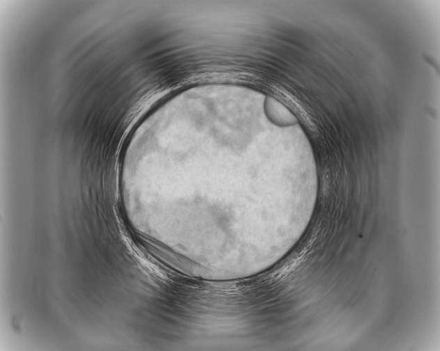 X0000097860844200804111151