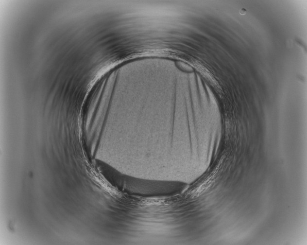 X0000097860846200804111151