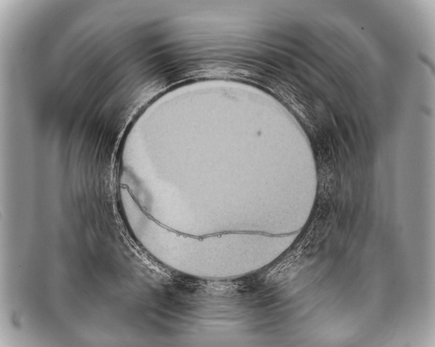 X0000097860848200804111151