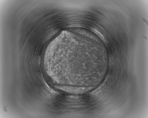 X0000097860849200804111151