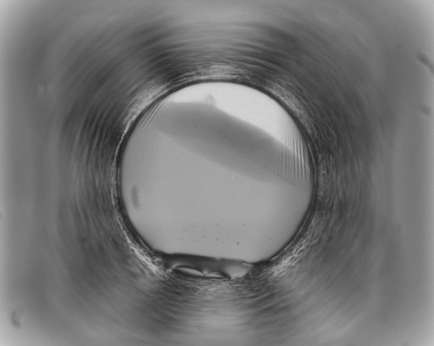 X0000097860850200804111151