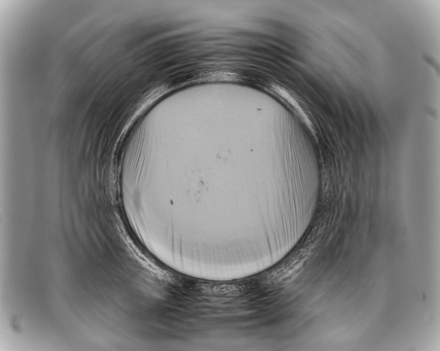 X0000097860851200804111151