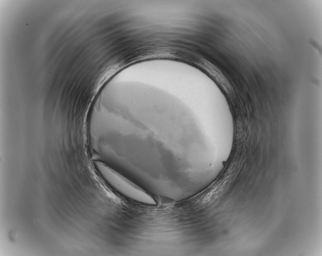 X0000097860858200804111152