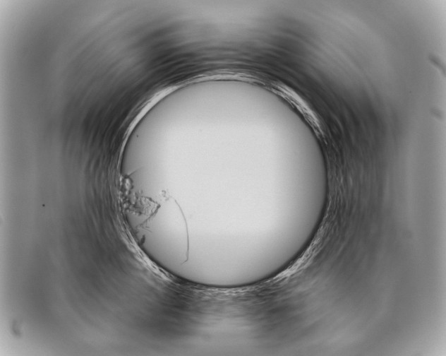 X0000097860860200804111152