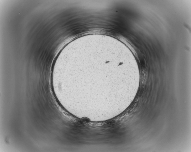 X0000097860861200804111152