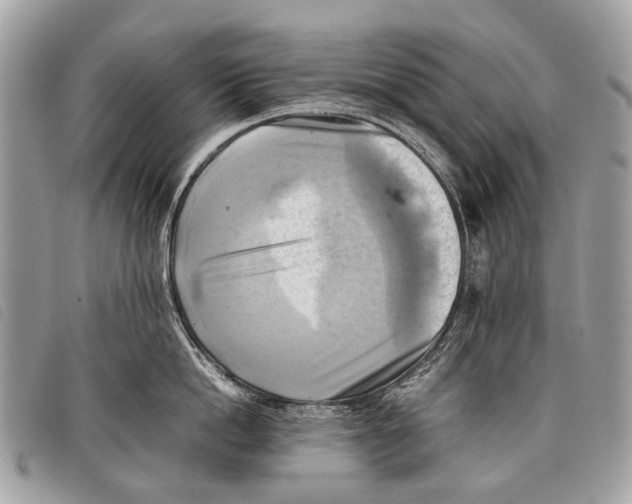 X0000097860862200804111152