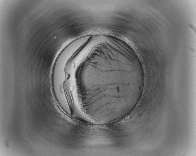 X0000097860864200804111152