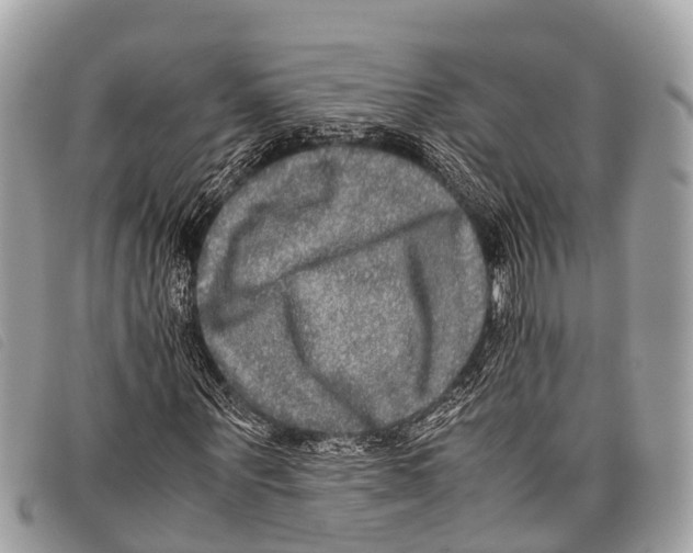 X0000097860867200804111151