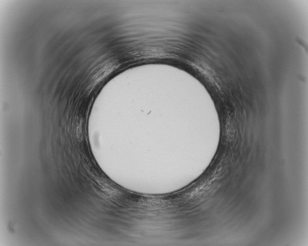 X0000097860873200804111151