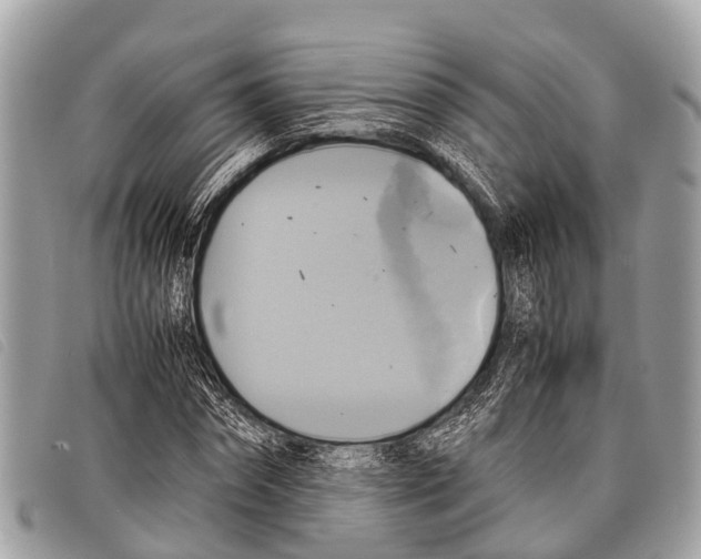 X0000097860874200804111151