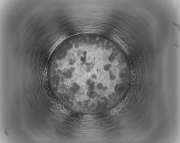 X0000097860875200804111151